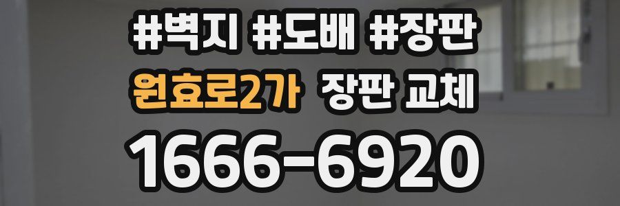 원효로2가 장판 교체