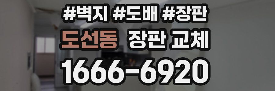 도선동 장판 교체