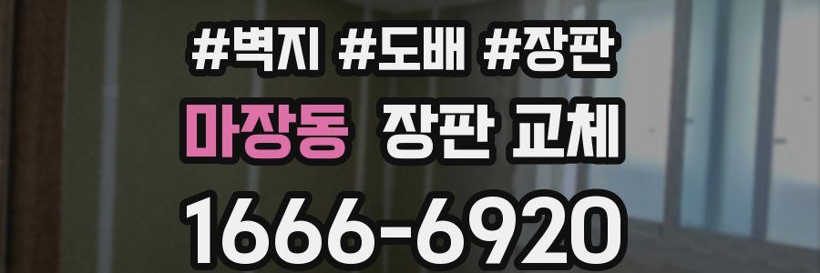 마장동 장판 교체