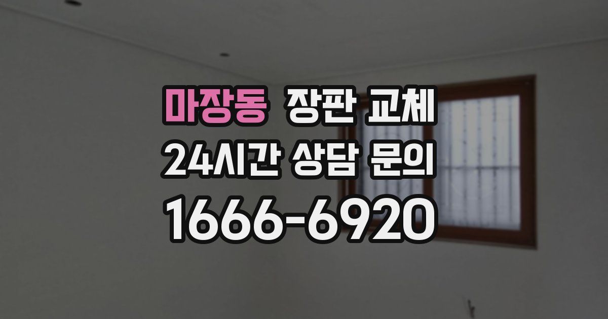 마장동 장판 교체