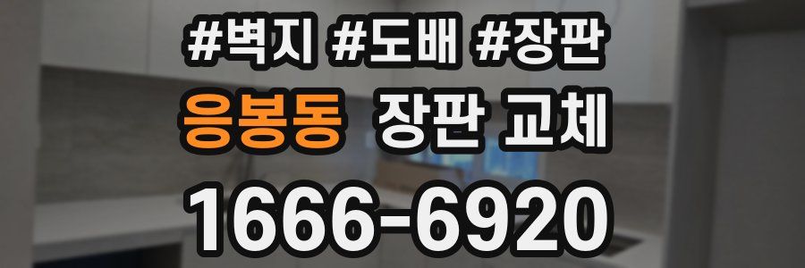 응봉동 장판 교체