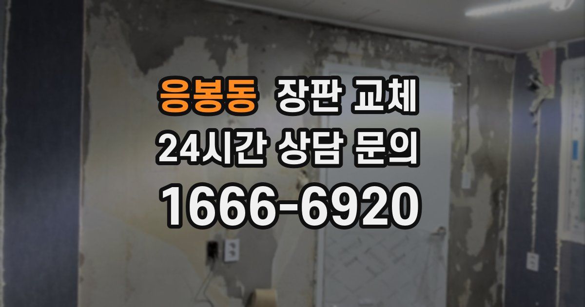 응봉동 장판 교체