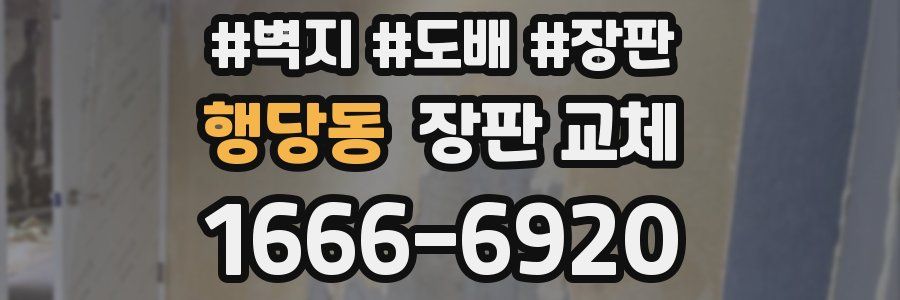 행당동 장판 교체