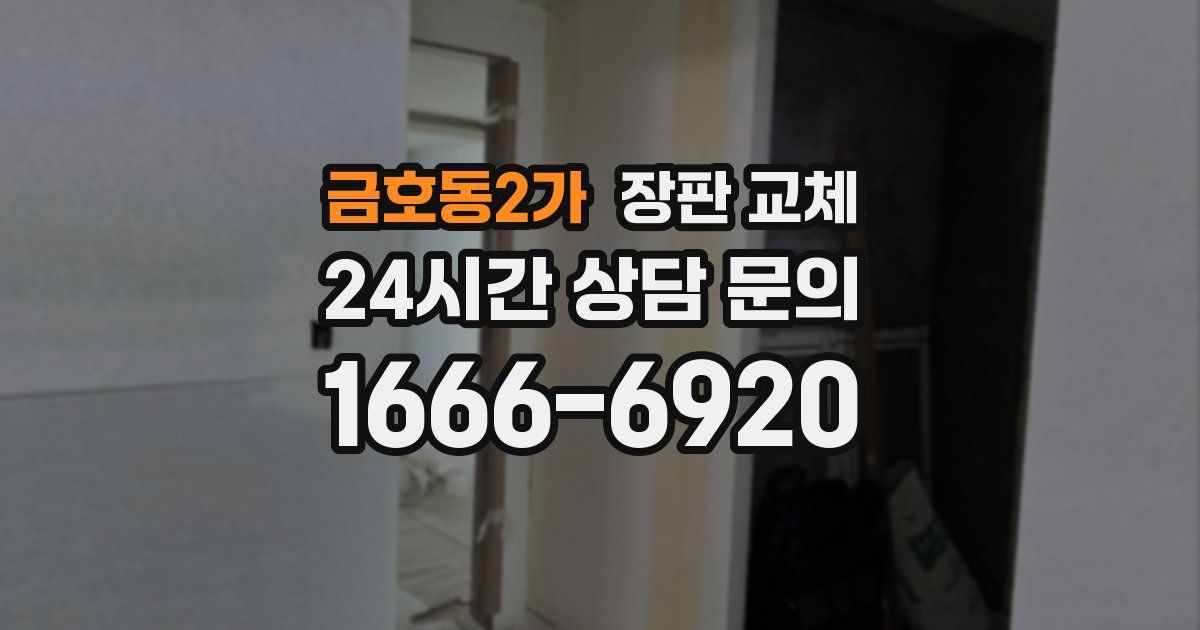 금호동2가 장판 교체