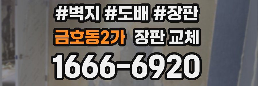 금호동2가 장판 교체