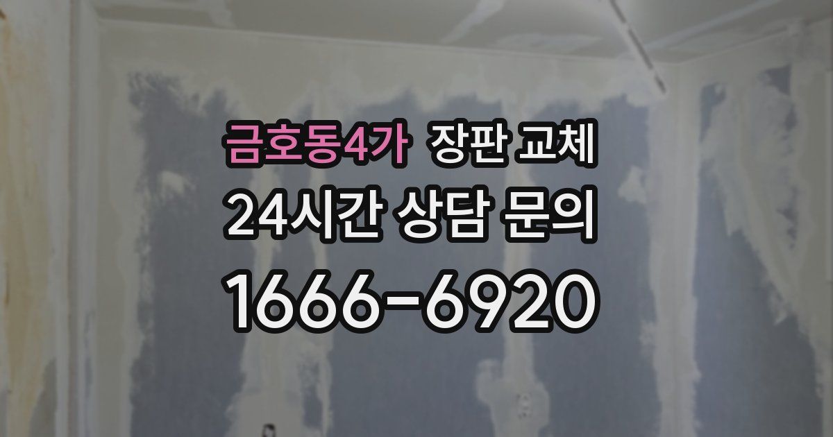 금호동4가 장판 교체