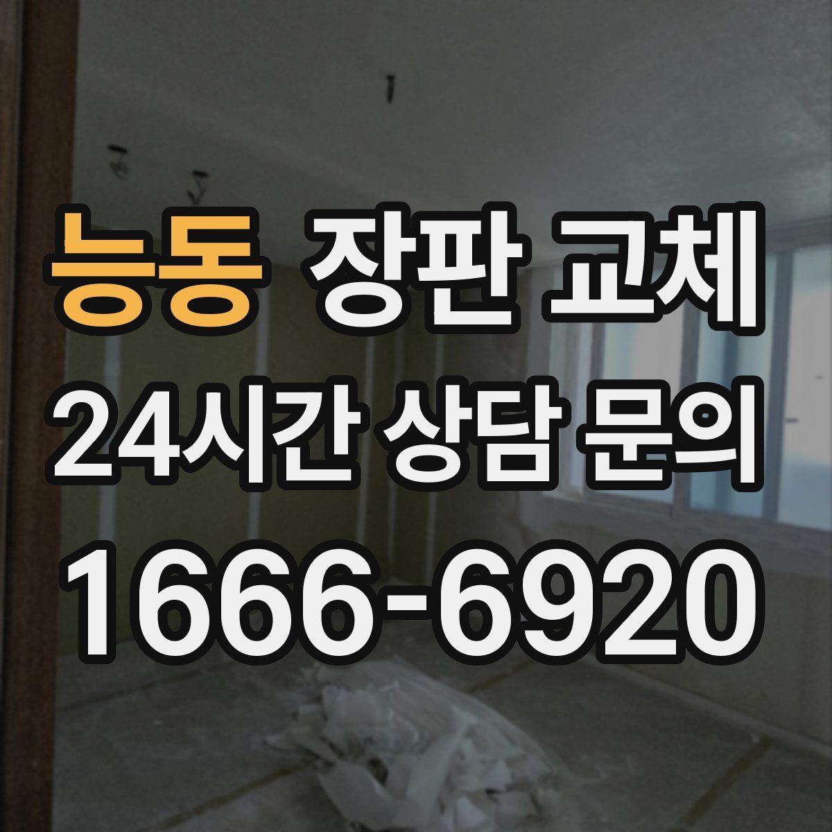 능동 장판 교체