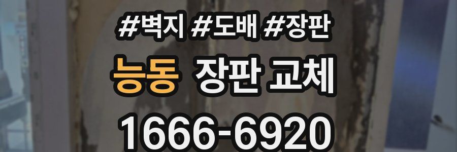 능동 장판 교체