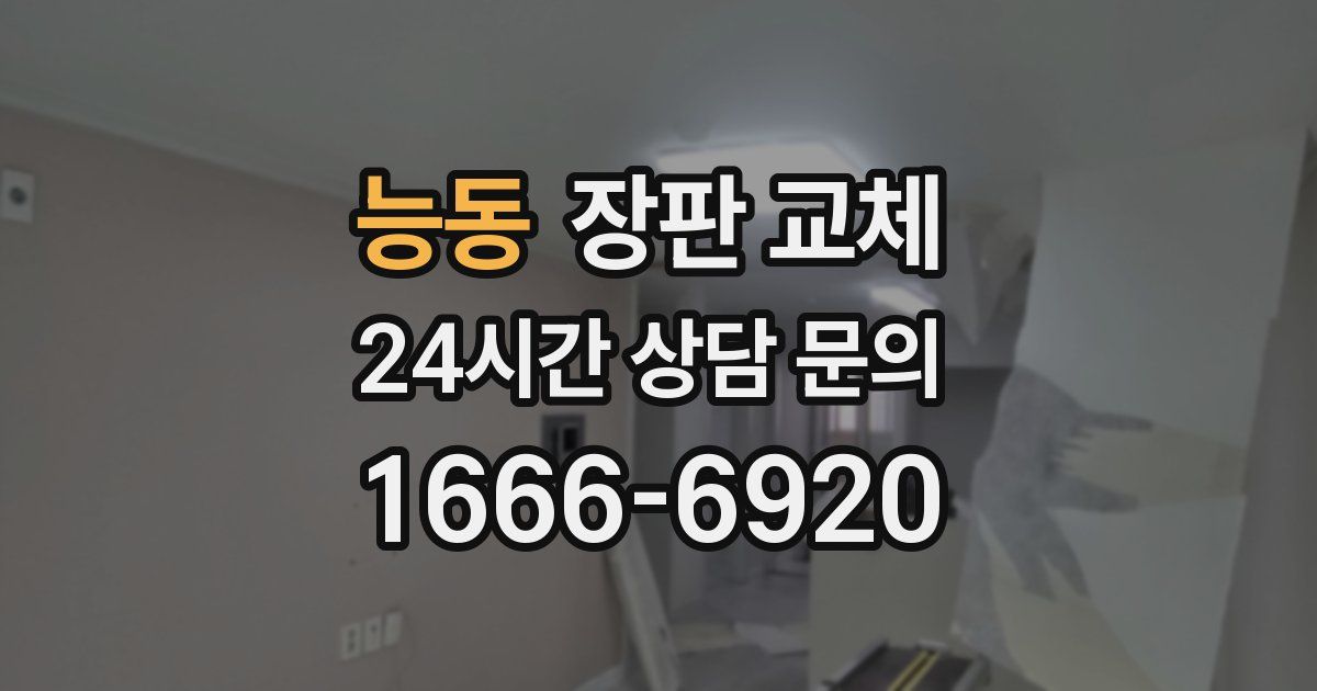 능동 장판 교체