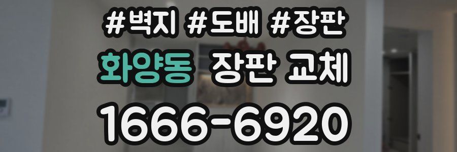 화양동 장판 교체