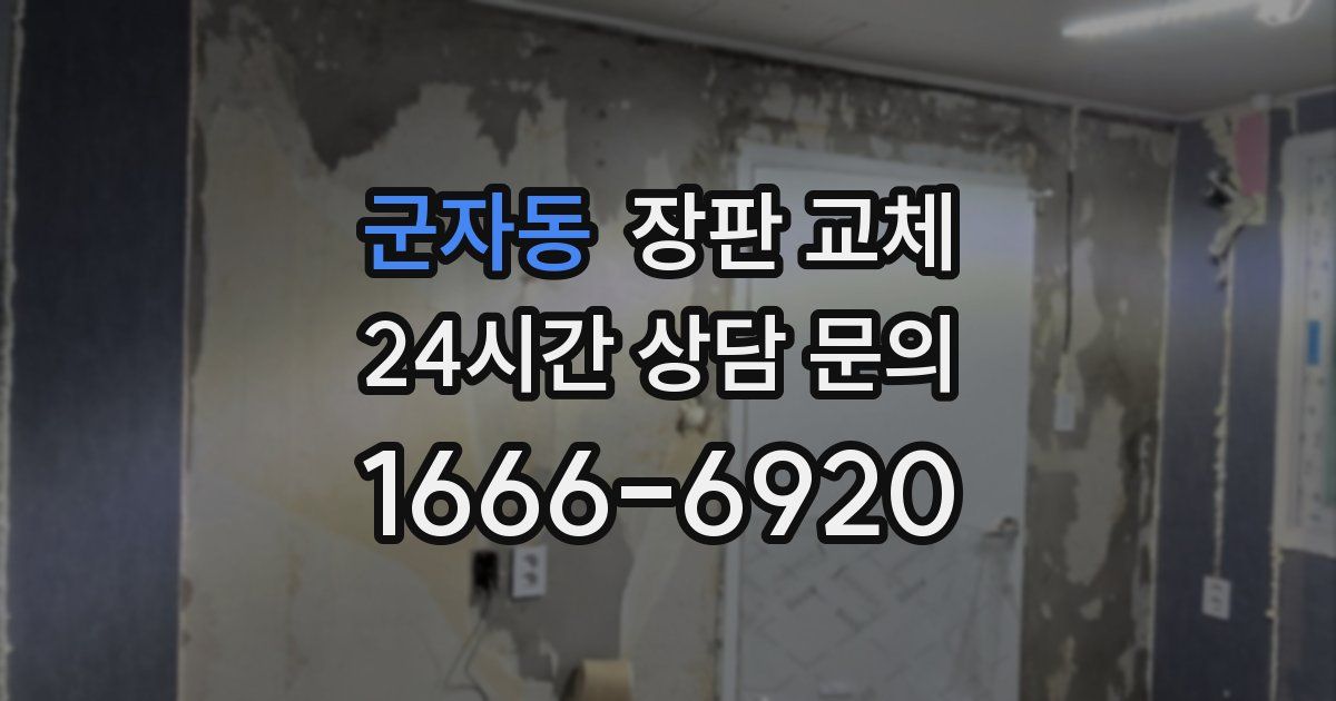군자동 장판 교체