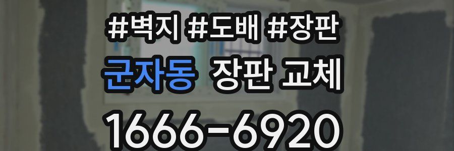 군자동 장판 교체