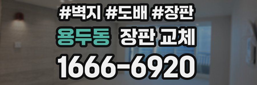 용두동 장판 교체