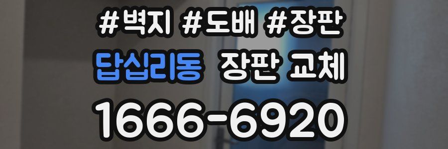 답십리동 장판 교체