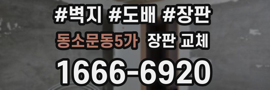 동소문동5가 장판 교체