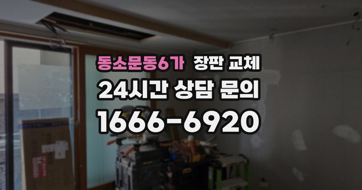 동소문동6가 장판 교체