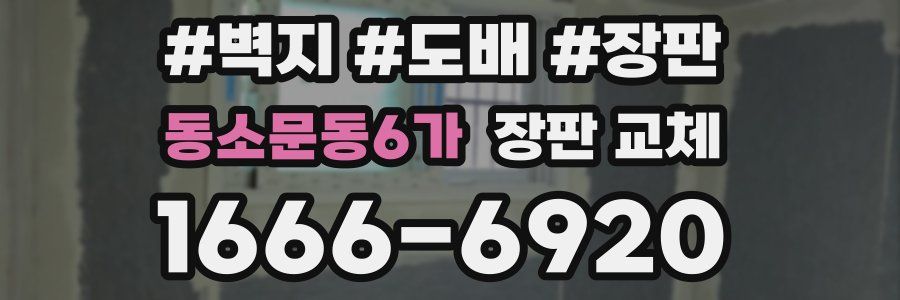 동소문동6가 장판 교체