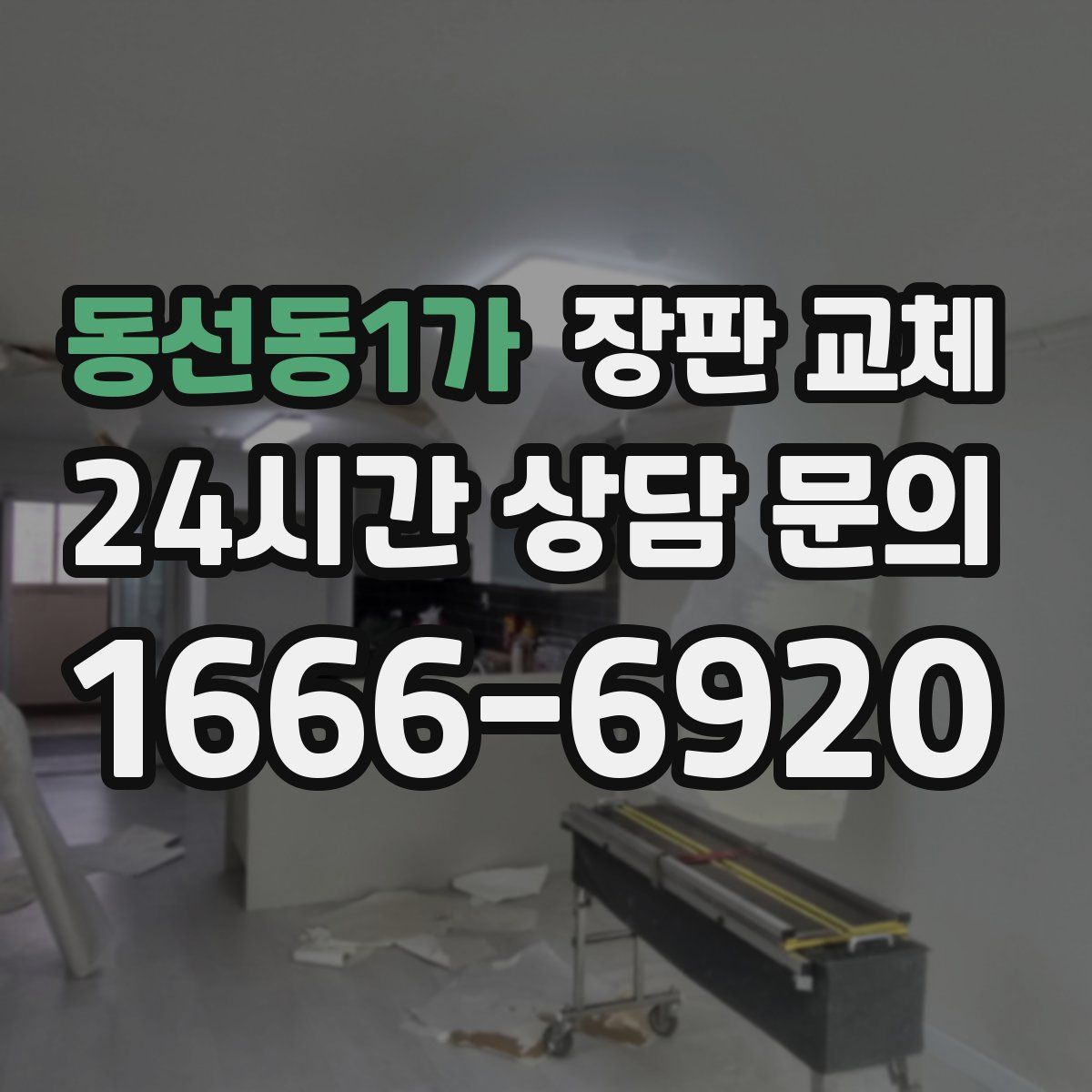 동선동1가 장판 교체