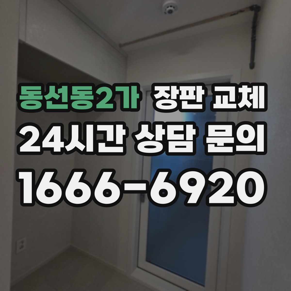 동선동2가 장판 교체