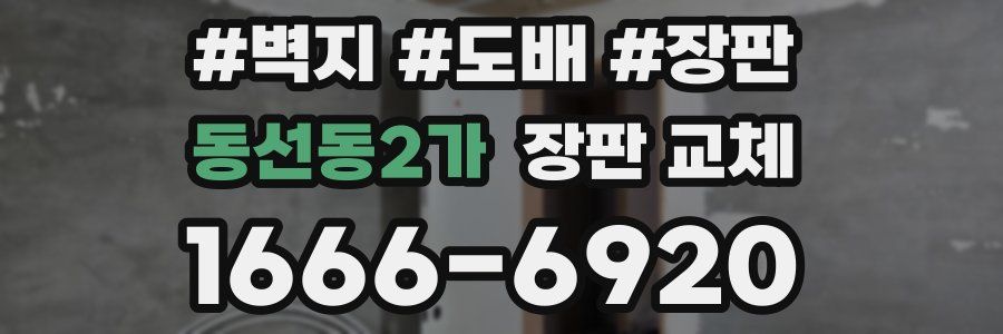 동선동2가 장판 교체