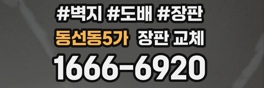 동선동5가 장판 교체