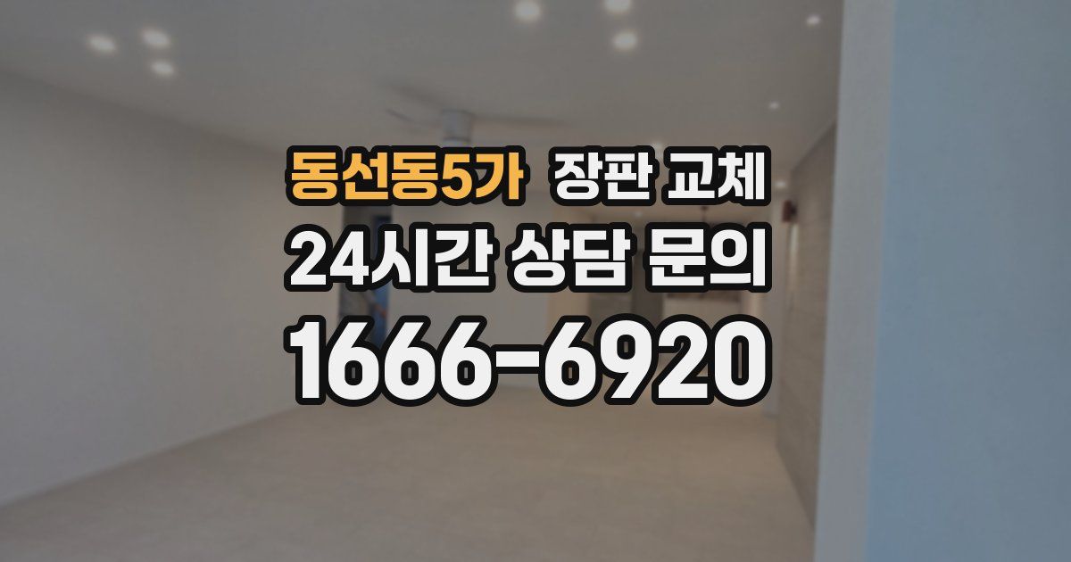 동선동5가 장판 교체