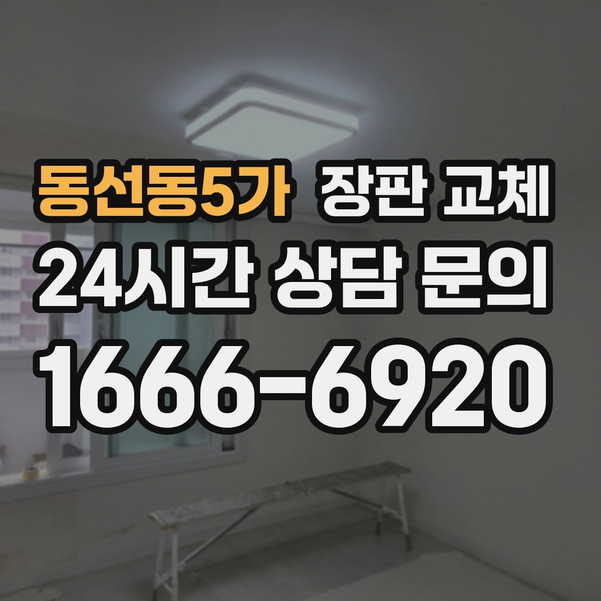 동선동5가 장판 교체