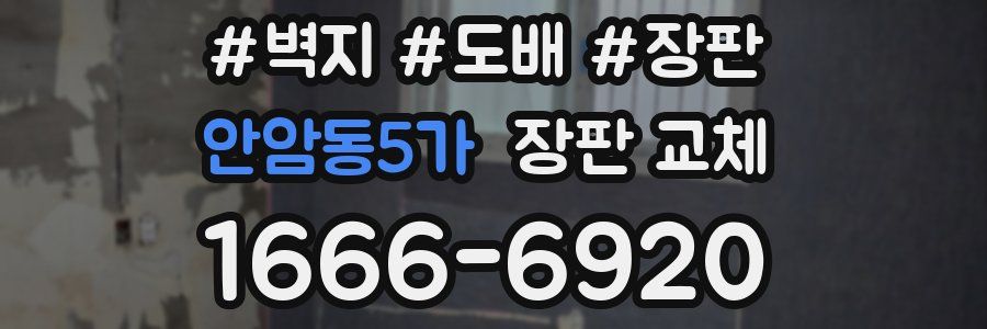 안암동5가 장판 교체