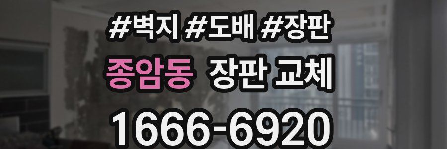 종암동 장판 교체