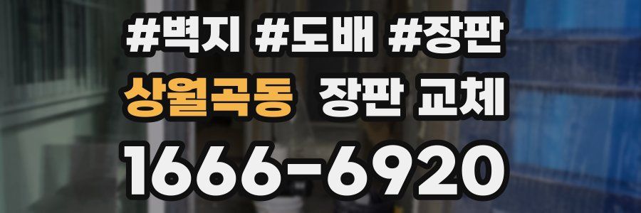 상월곡동 장판 교체