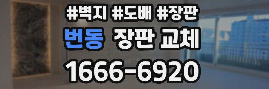 번동 장판 교체