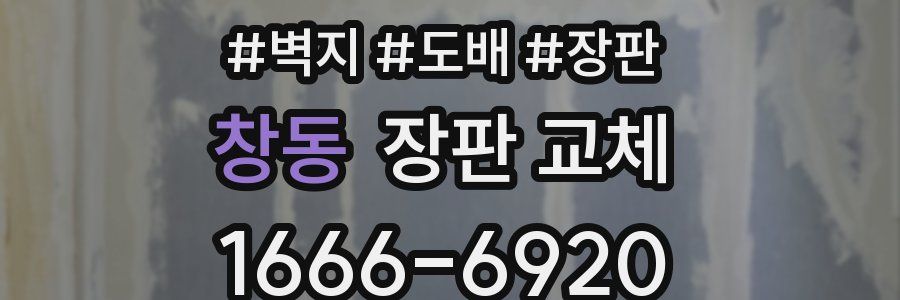 창동 장판 교체