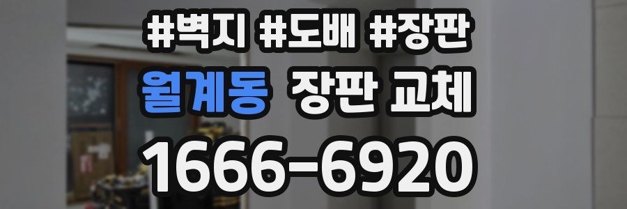 월계동 장판 교체