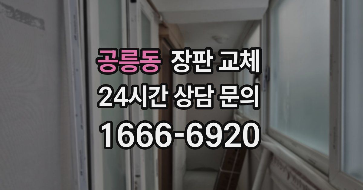 공릉동 장판 교체