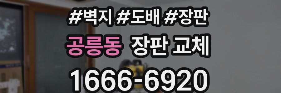 공릉동 장판 교체