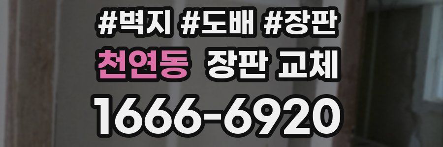 천연동 장판 교체