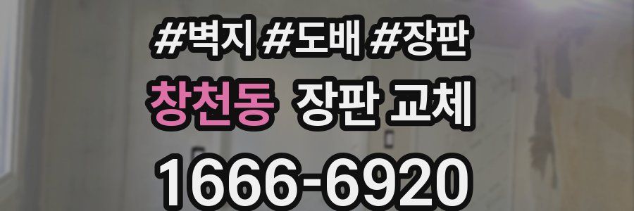 창천동 장판 교체