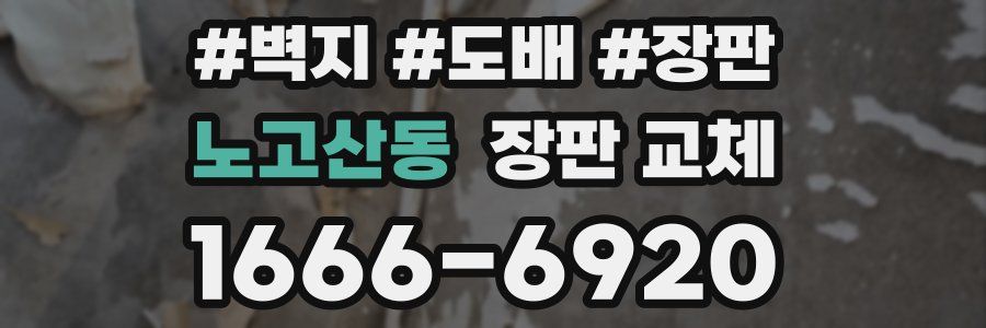 노고산동 장판 교체