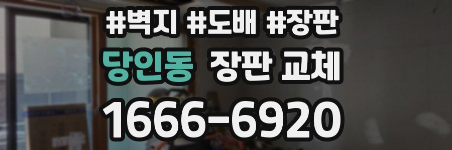 당인동 장판 교체