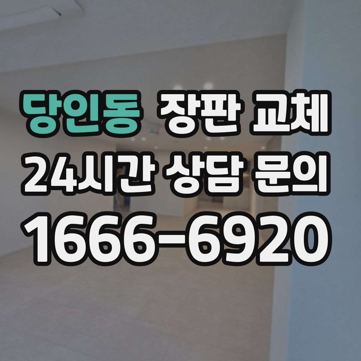 당인동 장판 교체