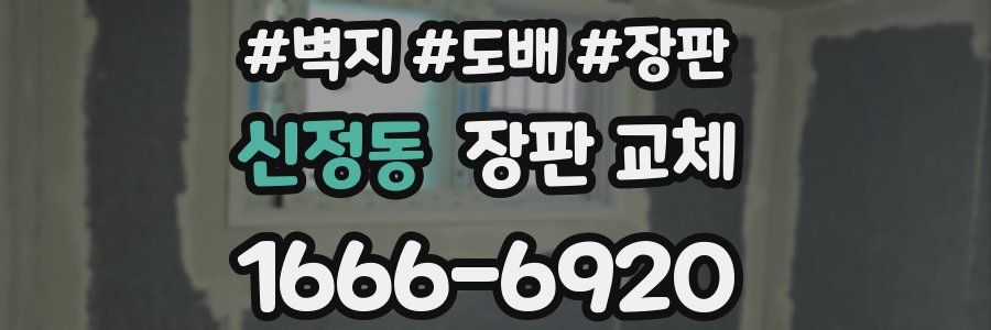 신정동 장판 교체
