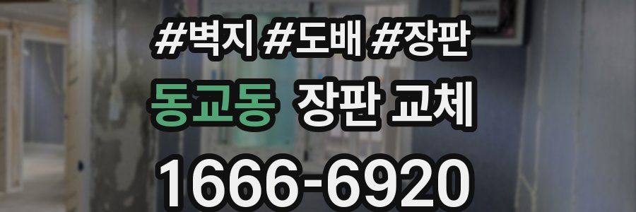 동교동 장판 교체