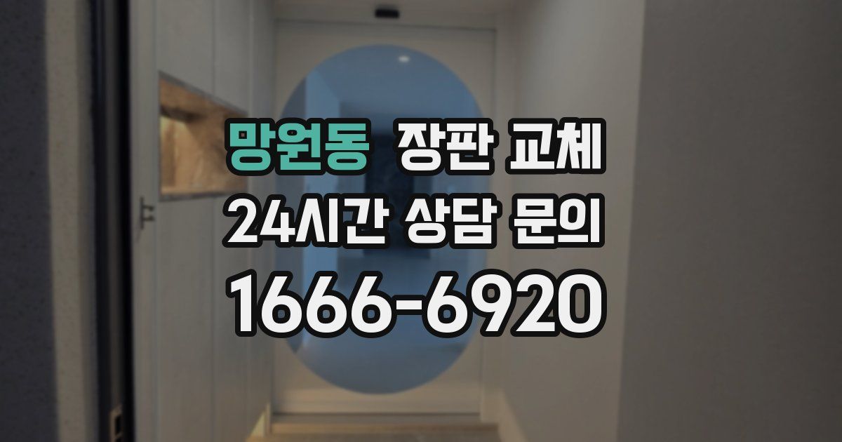 망원동 장판 교체