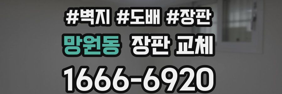 망원동 장판 교체