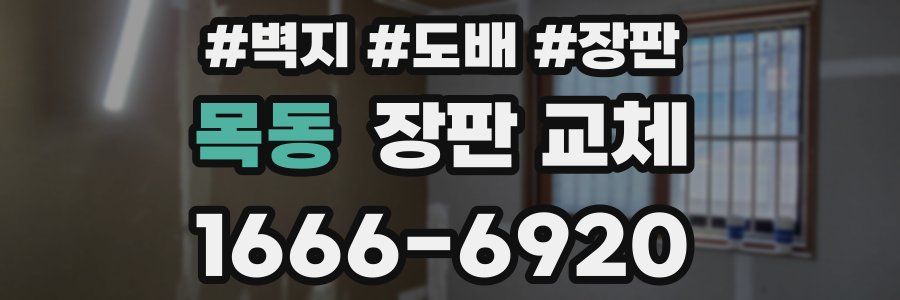 목동 장판 교체