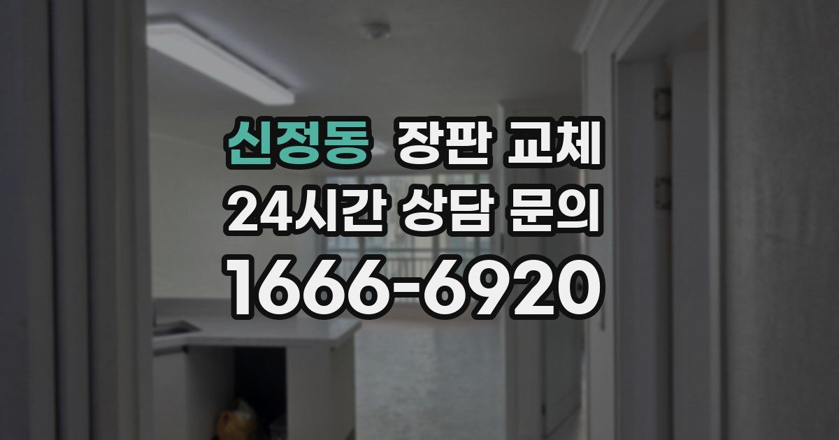 신정동 장판 교체