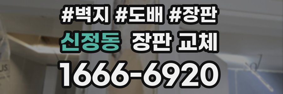 신정동 장판 교체