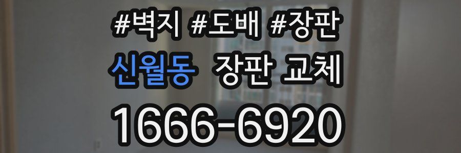 신월동 장판 교체
