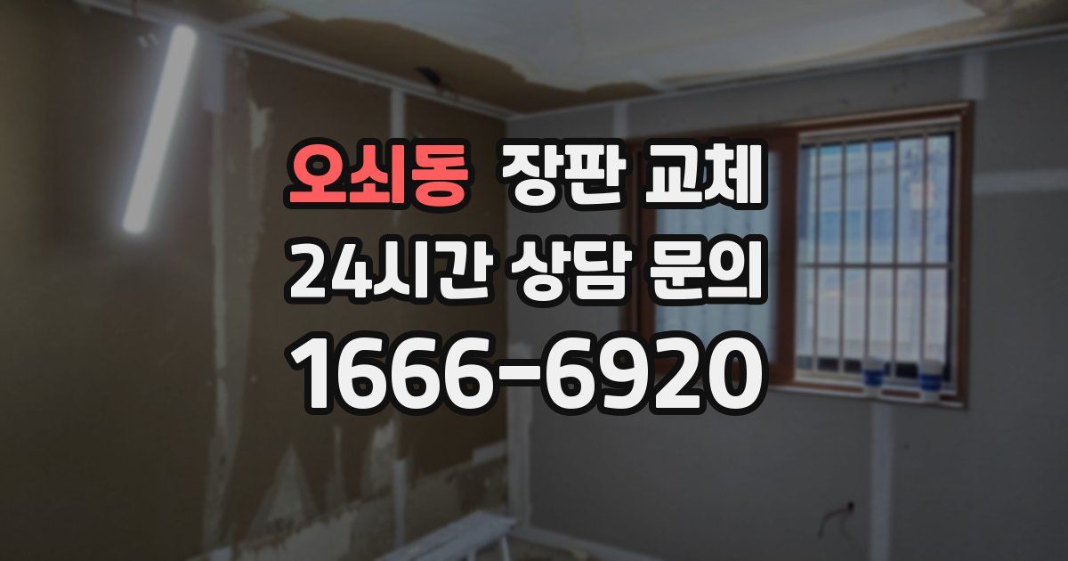 오쇠동 장판 교체