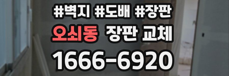 오쇠동 장판 교체